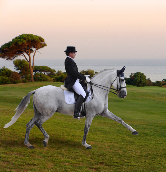 cavalo-lusitano